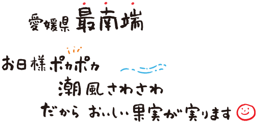 愛媛県最南端 お日様ポカポカ潮風さわさわだからおいしい果実が実ります