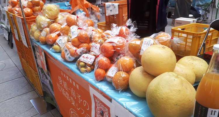 第一マルエム青果
