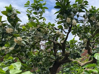 5月